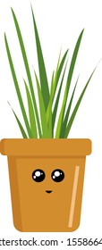 Plant in pot, illustration, vector on white background.