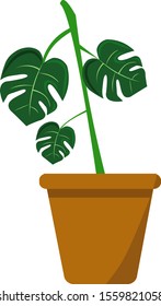 Plant in pot, illustration, vector on white background.