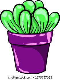 Plant in pot, illustration, vector on white background.
