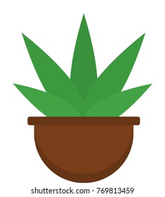 Plant in pot isolated decoration element vector illustration