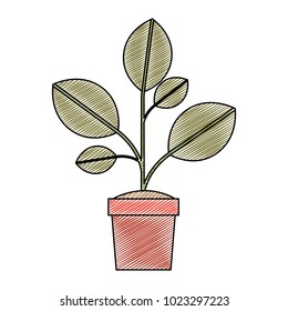 plant in pot isolated icon