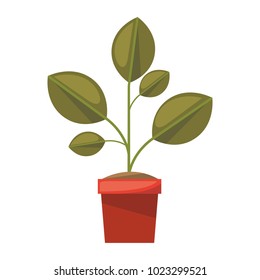 plant in pot isolated icon