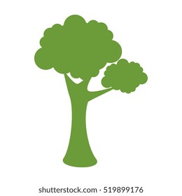 plant with pot isolated icon