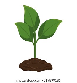 plant with pot isolated icon