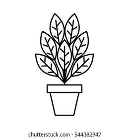 plant in pot isolated icon vector illustration design