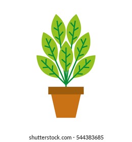 plant in pot isolated icon vector illustration design
