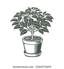 Plant in pot isolated on white background. Botanical element for interior design. Monochrome black and white illustration.