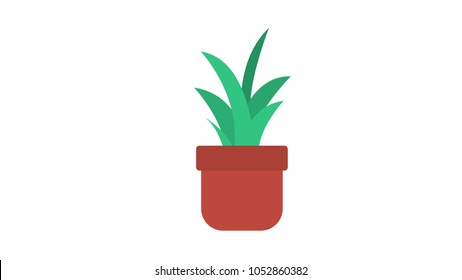 Plant and pot isolated vector illustration
