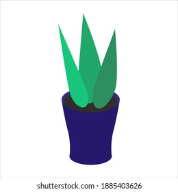 Plant in the pot isometric vector illustration eps. 10