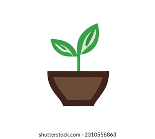 Plant in the pot leaf in vase illustration vector image