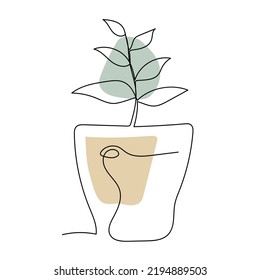 Plant in pot line art. Contour drawing. Minimalism art.