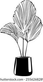 Plant in a pot line art. Flat isolated  hand drawn home plants. Minimalist style vector illustration