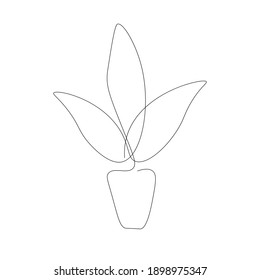 Plant in pot line drawing, vector illustration