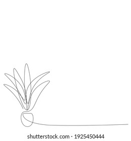Plant in pot line drawing, vector illustration