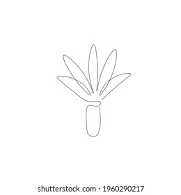 Plant in pot line drawing vector illustration