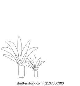 Plant in pot line drawing vector illustration