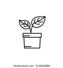 Plant in pot line icon 