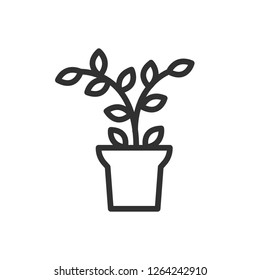 plant in the pot. linear icon. Line with editable stroke