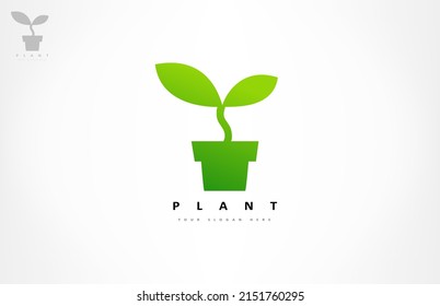 Plant in pot logo vector.