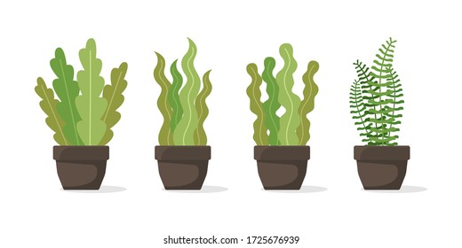 Plant pot in modern flat style collection, natural concept isolated on white background.