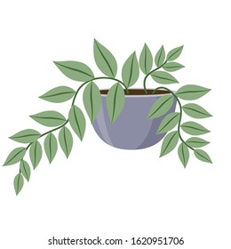 Plant in pot on white background. Vector illustration