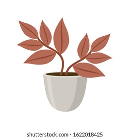 Plant in pot on white background. Vector illustration