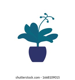 plant in pot on white, vector design