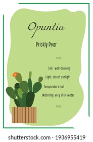 Plant in pot. Opuntia. Prickly pear. Indoor plant, potted plant. Care info card, banner. House plant care. Home gardening.