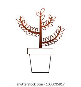Plant in pot in orange lines