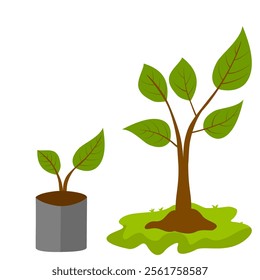 plant pot sapling good quality and design. Growing tree symbol eco environment concervation. soil plant icon vector isolated on white background