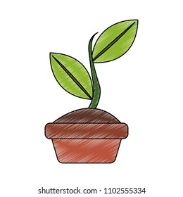 Plant in pot scribble