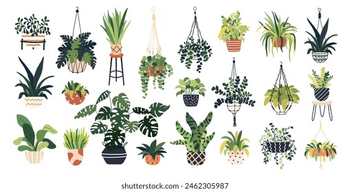 Plant pot set. Garden indoor home macrame plant, flowerpots. Green leaves flower jungle home. Monstera, succulent, fern houseplants for interior office decor. Vector illustration in flat cartoon style