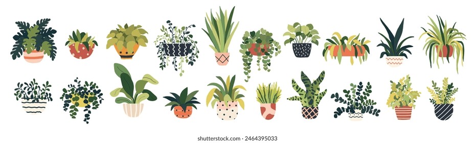 Juego de macetas. Jardín interior de plantas caseras, macetas. Las hojas verdes florecen en la selva. Planta de la casa para la decoración interior de la oficina. Ilustración vectorial en estilo plano de dibujos animados