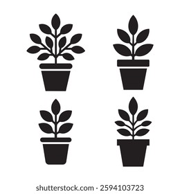 plant pot silhouette vector illustration.