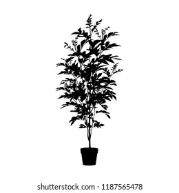 Plant pot silhouette vector. Natural object isolated on white. Black and white.