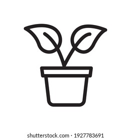 Plant In Pot Simple Line Vector Icon. 