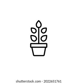 Plant in the pot simple thin line icon vector illustration