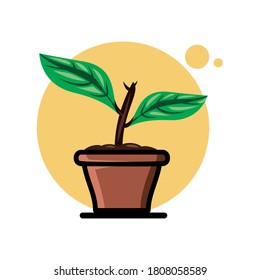 plant pot simple vector illustration