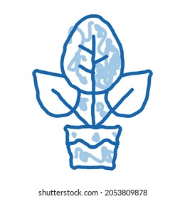 Pflanze in Pot Sketch Symbol Vektorgrafik. Handgezeichnete blaue Doodle Linie Kunstwerk in Pot-Zeichen. einzelne Symbolillustration