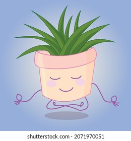 plant pot smiling in meditation position, light, yoga, mindfullness