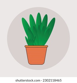 A plant in a pot that is labeled as a houseplant.