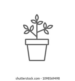 Plant pot thin icon vector