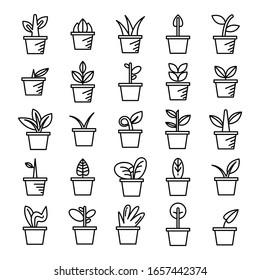 plant in pot and tree icons 