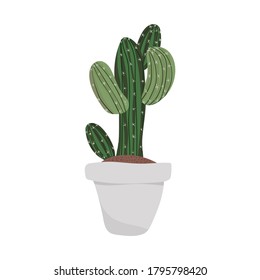 Plant in pot, vector cartoon flat colorful illustration isolated on white background. Plant decorative urban garden. Elegant handmade home decorations. Houseplant flower pot.