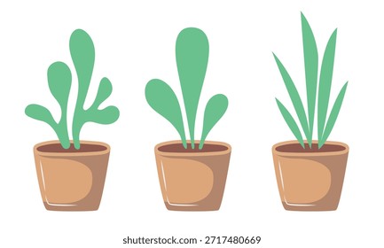 Planta en la maceta. Ilustración plana de Vector aislada sobre fondo blanco.