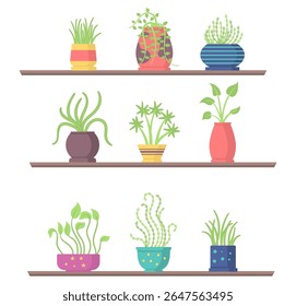 Plant pot vector. Hand holding potted flower with green leaves and sprout. Flat cartoon icon for gardening, eco care and nature protection. Isolated illustration symbol of growth, love and life.

