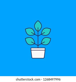 plant in pot, vector icon
