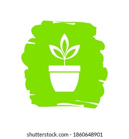 Planta en olla, icono vector