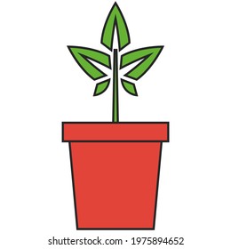 Plant in pot vector icon isolated illustration