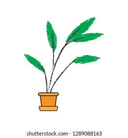 Plant in pot vector illustration